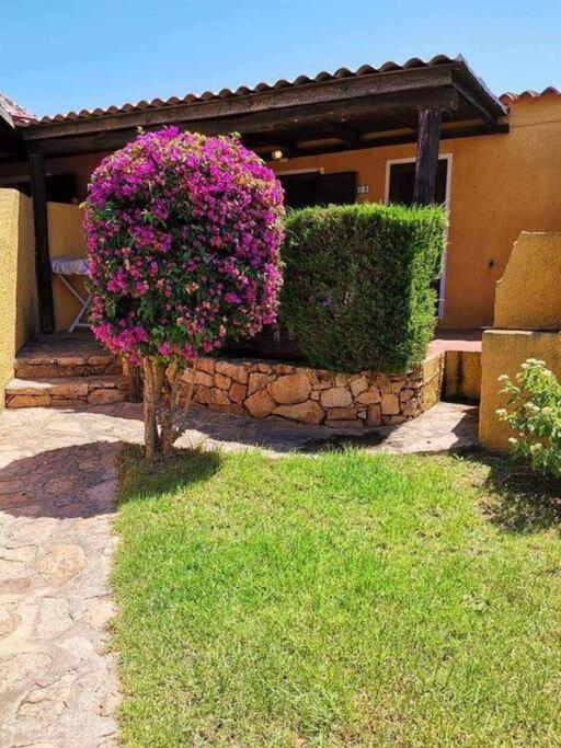 Casa Di Gio - Bilocale Con Giardino Apartament *